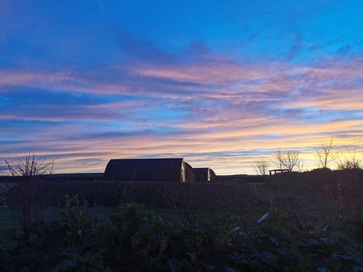 Glamping Pods Nr Port Isaac Villa Luaran gambar
